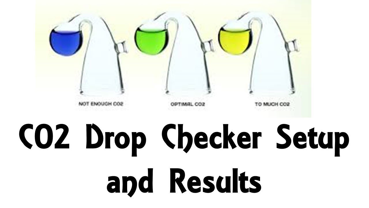Co2 Drop Checker Setup and Results Comparison For Optimum Co2 in Aquarium 