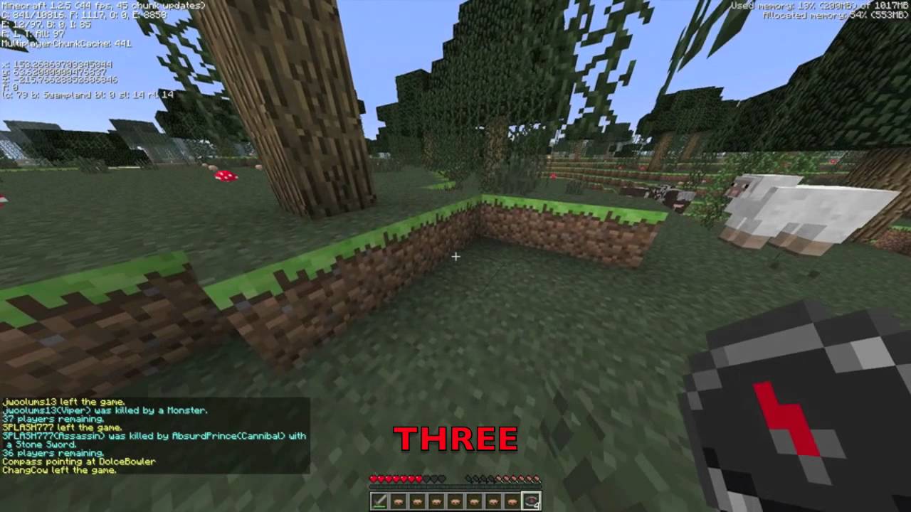 Hunger Games Tournament: DAMN HACKERS!