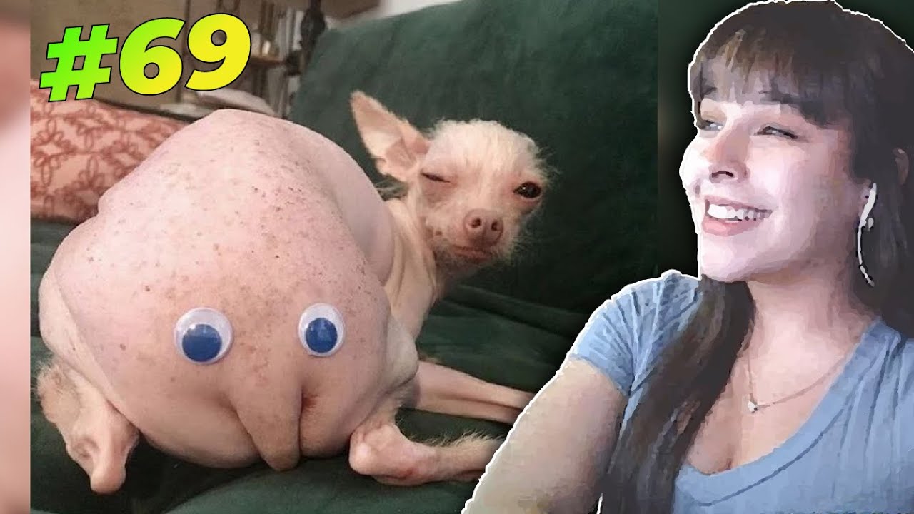 REACCIONANDO a los MEJORES MEMES XD #69