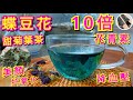 《養生茶》【蝶豆花甜菊葉茶】比一般植物高達10倍花青素丨顯著美顏抗氧化效果丨色彩艷麗低卡丨降血糖血壓丨預防動脈硬化保護微血管健康丨修護眼睛黏膜丨介紹蝶豆花、甜菊葉益處功效及飲用時注意事項丨