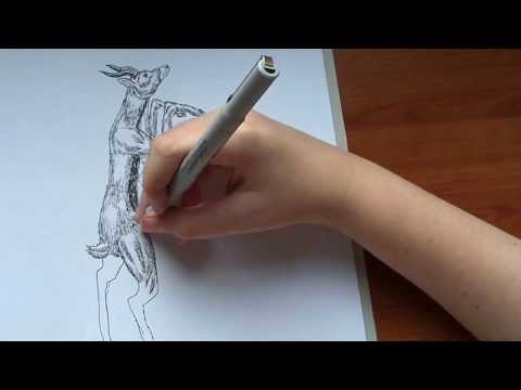 Dusan Krtolica 11 years - Crtanje Zivotinja Olovkom - Drawing Animals With Pen