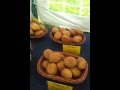 Odmiany ziemniaków jadalnych