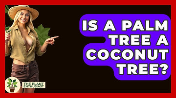 Is A Palm Tree A Coconut Tree? - The Plant Enthusiast