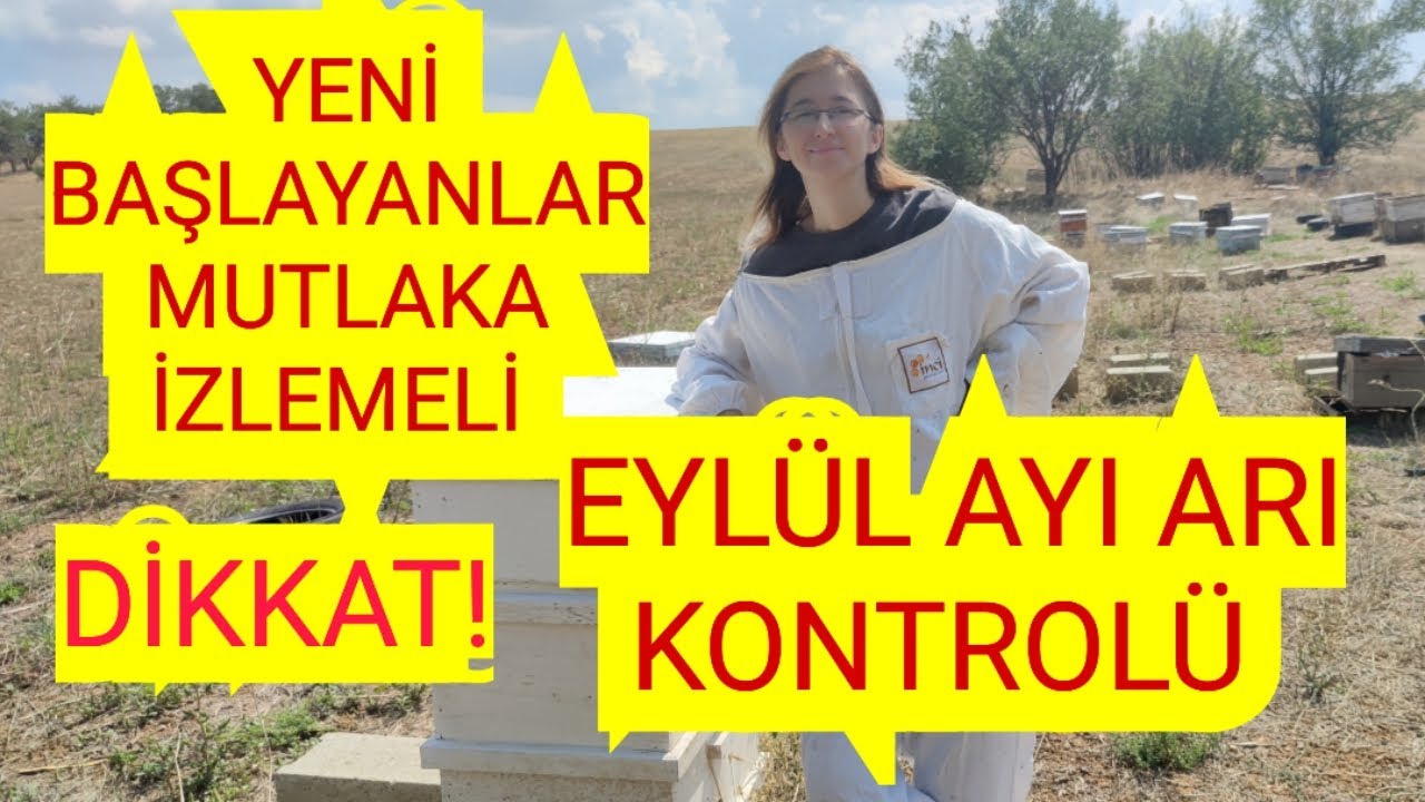 EYLÜL AYI ARI KONTROLÜ/ YENİ BAŞLAYANLAR İÇİN DETAYLI ANLATIM#arı#arıcılık#bee#beekeeper#yalvaç