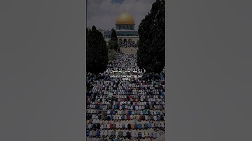 سورة النصر للقارئ ياسر الدوسري #quran #سورة_النصر #quran #الله #قرآن #استغفر_الله #راحة_نفسية #ترند