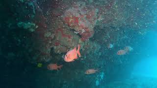 Pain de Sucre 14062020