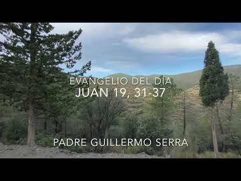 ✴️ EVANGELIO de HOY 11 de Junio 📌 PADRE GUILLERMO SERRA - JUAN 19, 31-37