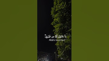 #قرآن #قران_كريم #تلاوة_خاشعة #ياسرالدوسري #اكسبلور #اذكرو_الله #اللهم_صل_وسلم_على_نبينا_محمد