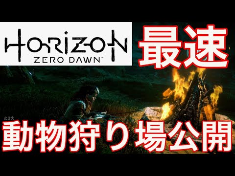 【ホライゾン ゼロドーン攻略】初心者必見!序盤の動物狩場の場所わかりやすく実況で教えます!