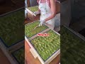 DON T CHECK THIS SOUND PLEASE ЁЯе ЁЯШн DON T CHECK THIS SOUND PLEASE ЁЯе ЁЯШн