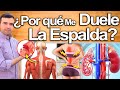 Porqué Me Duele La Espalda?- Causas Y Soluciones Para El Dolor De Espalda