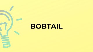 What is the meaning of the word BOBTAIL?