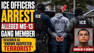 ICE Officers Arrest Alleged MS-13 Gang Member in Florida Raid