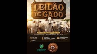 LEILAO DE GADO  14 - 07 - 2026 - Sindicato Rural de Rio Verde - Dêgo Leilões