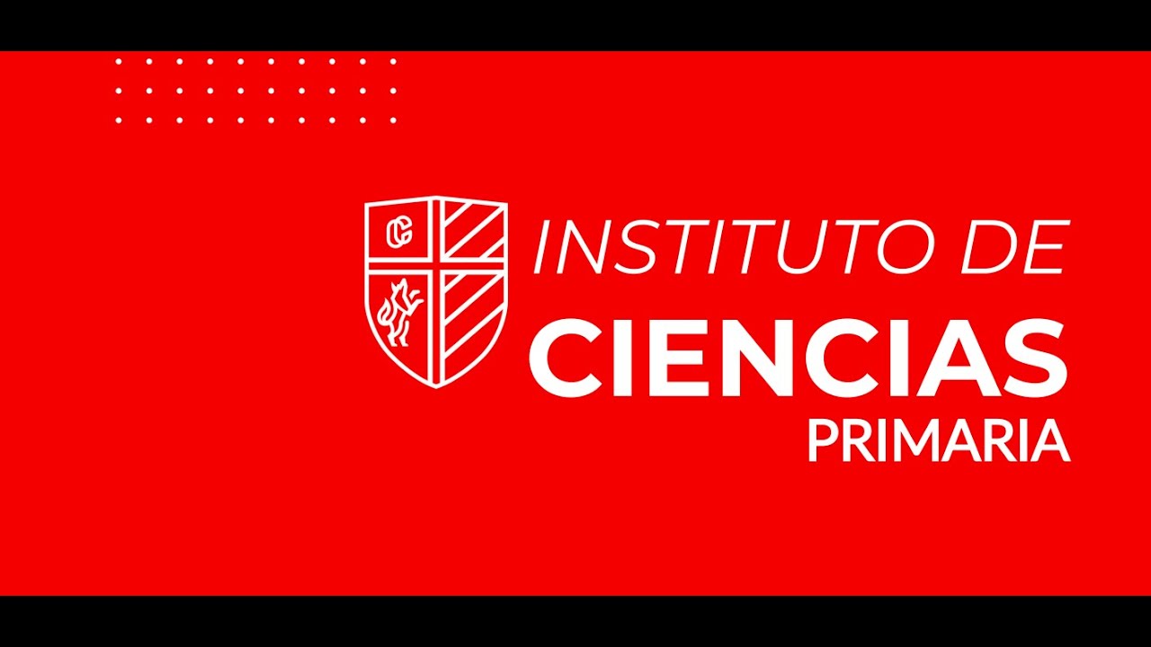 Junta de padres de familia primaria. Ciclo escolar 2024-2025