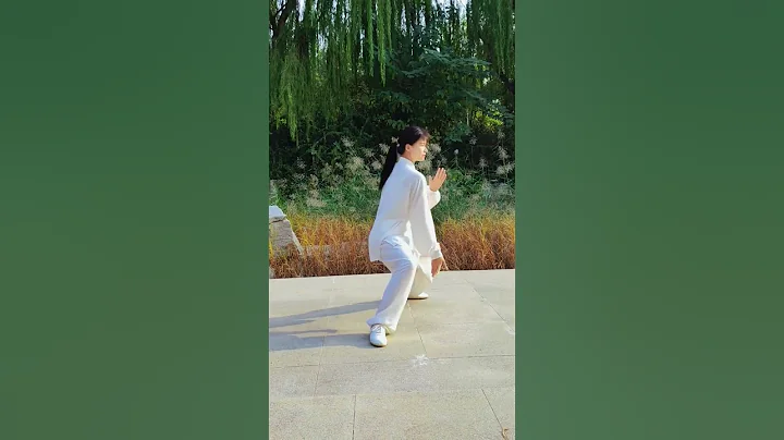 Kungfu Girl 太極拳的散手✋展示 - 天天要聞