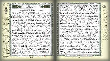 سورة الملك من صلاة التراويح بمسجد الفتح ليلة 24  رمضان 1437