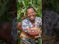 22 July 2025 Africanentrepreneurs Farmingbusiness AgribusinessAfrica 22 July 2025 Africanentrepreneurs Farmingbusiness AgribusinessAfrica