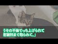 【スカッとする話】NTR癖のある姉が結婚式を挙げると絵に描いたような地獄絵図だった…