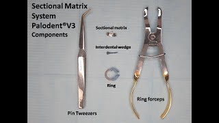 Placement of Sectional Matrix System Poladent® V3