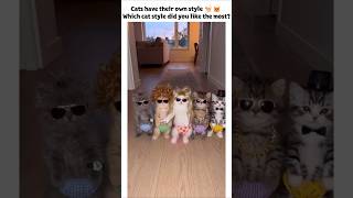 Warning: This Video Contains Extreme Cuteness & Chaos! ⚠️🐶