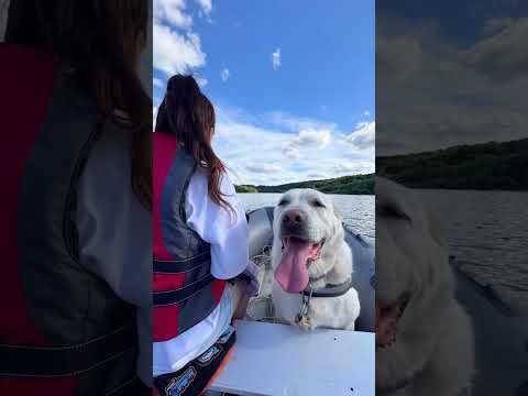 Варя готова поднимать настроение нашим подписчикам ❤️ #алабайвидео