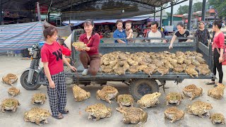 Full Video Timelapse 266 Days Harvest Lots Of Big Frog - Buy Many Chicks To Raise - Sell Hen