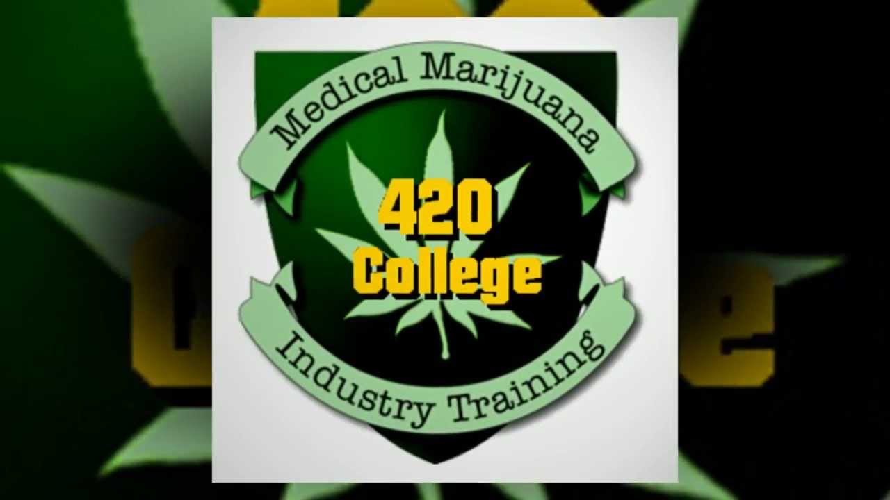 Starting Up A Collective