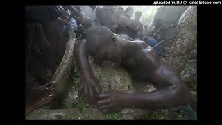 Download Lagu Racine Figuier kase fey la MP3