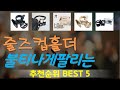 줄즈컵홀더 추천, 요즘 이거 산다던데 가성비 TOP5