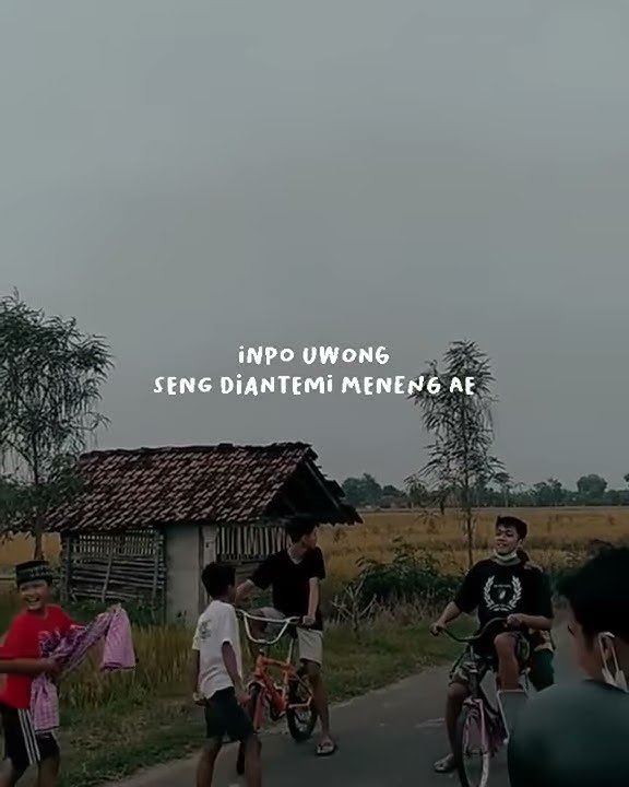 story wa orang marah
