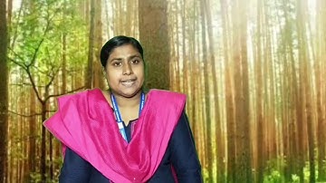 Std 7 English Unit 1 Class 05 White Board SLD