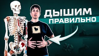 Как не надо дышать! 3 типа неправильного дыхания || Интересная анатомия