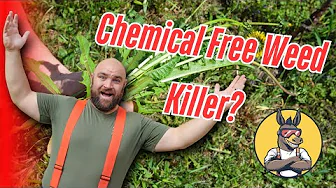 Chemical Free Weed Killer?