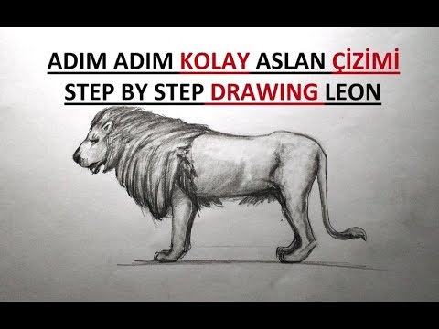 Aslan Çizimi / Karakalem Kolay Aslan Çizimi / Aslan Resmi Nasıl Çizilir?