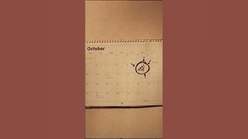 Cian Ducrot - The official video for I