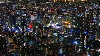 「日本一の素敵な着陸夜景」大阪伊丹空港 着陸直前