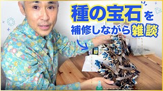 【送料込】旅人の木12節　種接着済 mqdefault.jpg