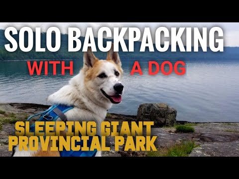 solo backpacking with a dog