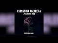 Christina aguilera  loyal brave true stormby mix edit