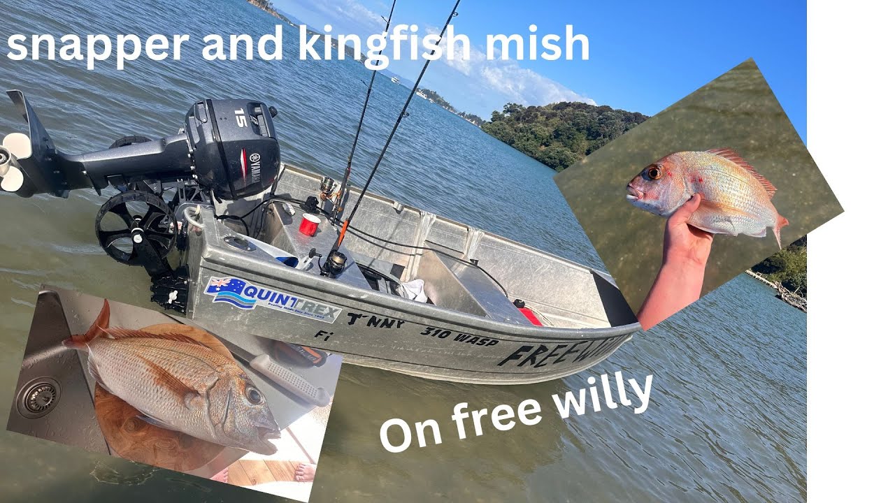 FISHING IN FREE WILLY | TINNYFISHINGNZ.