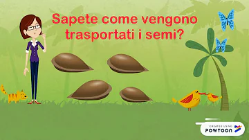 Come nasce un nocciolo?