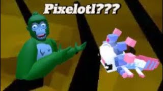 My rarest run in shark go bloop!!!