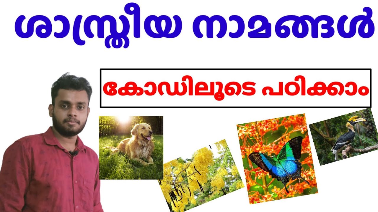 ശാസ്ത്രീയ നാമങ്ങൾ ( Scientific Names) കോഡിലൂടെ പഠിക്കാം..