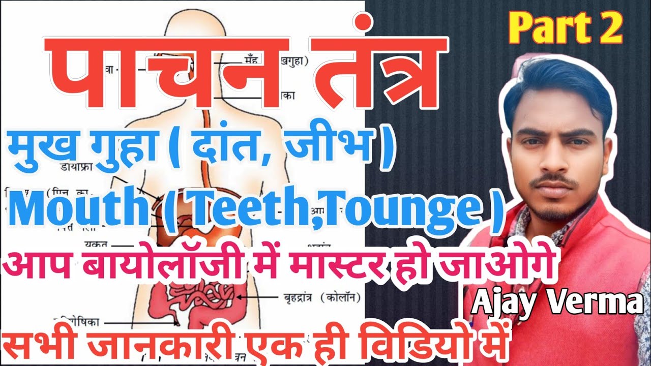 पाचन तंत्र मुंह ( दांत और जीभ ) Digestive System Mouth ( Teeth and Tounge ) by Ajay Verma 