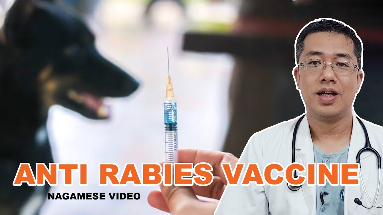 Anti Rabies Vaccine : Nagamese video - YouTube