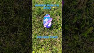 Dragon Egg Hatching