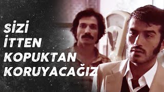 İlk Haracımı Kesiyorum