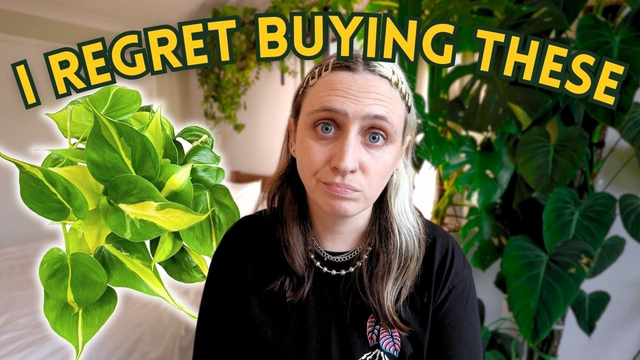 Plants I Regret Buying (Even Though Everyone Loves Them)