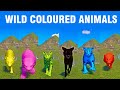 Wild Coloured Animals Speed Race in Planet Zoo included Bush Dog, Coyote, Ocelot, Leopard, Otter